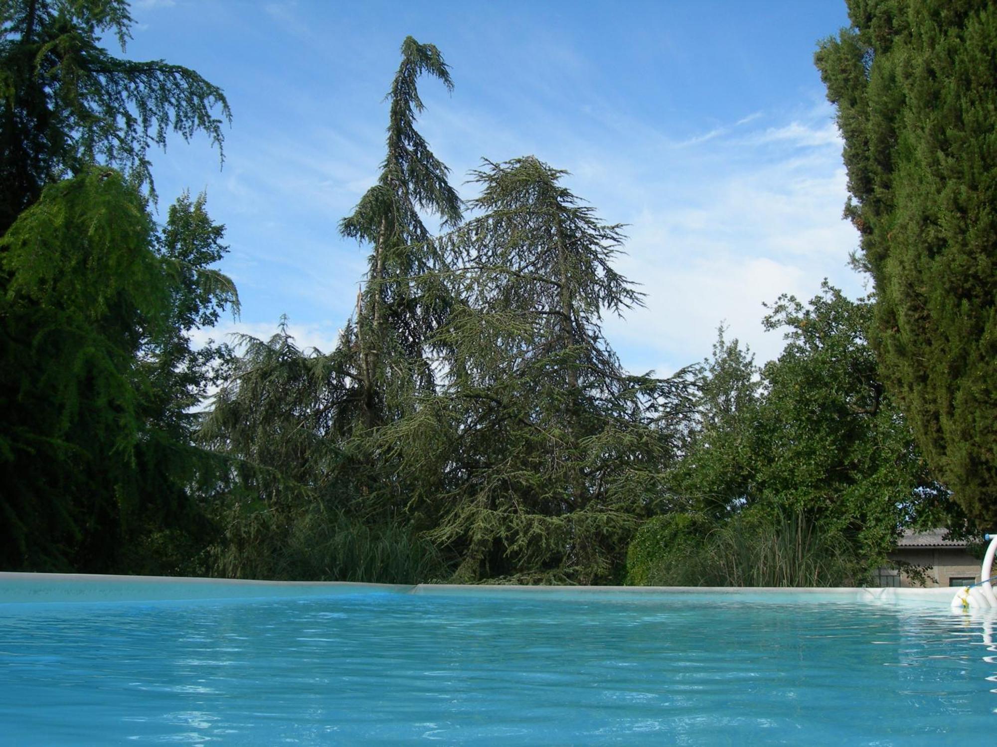 Villa Campo Di Fiore Arezzo Dış mekan fotoğraf
